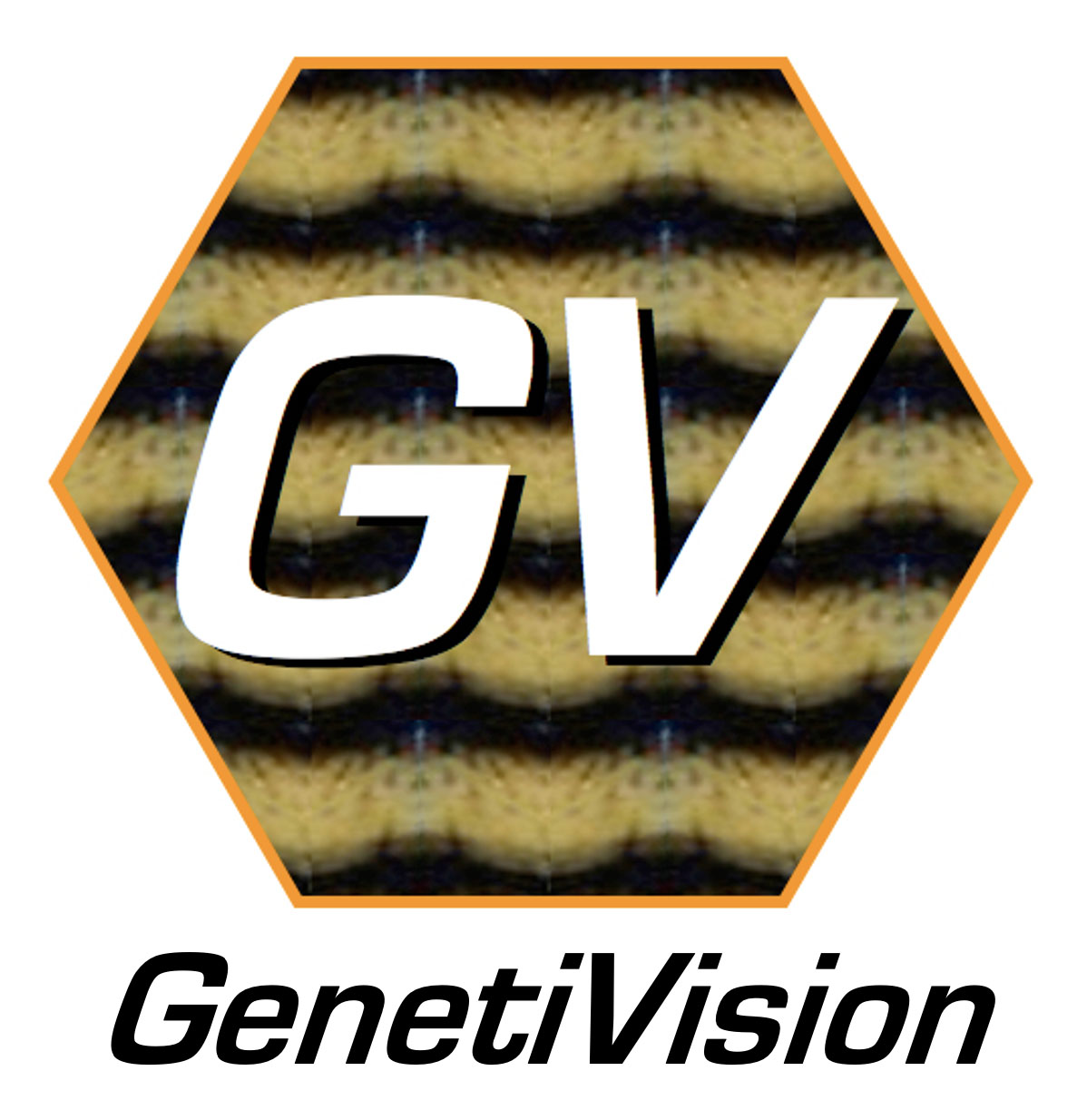GenetiVision